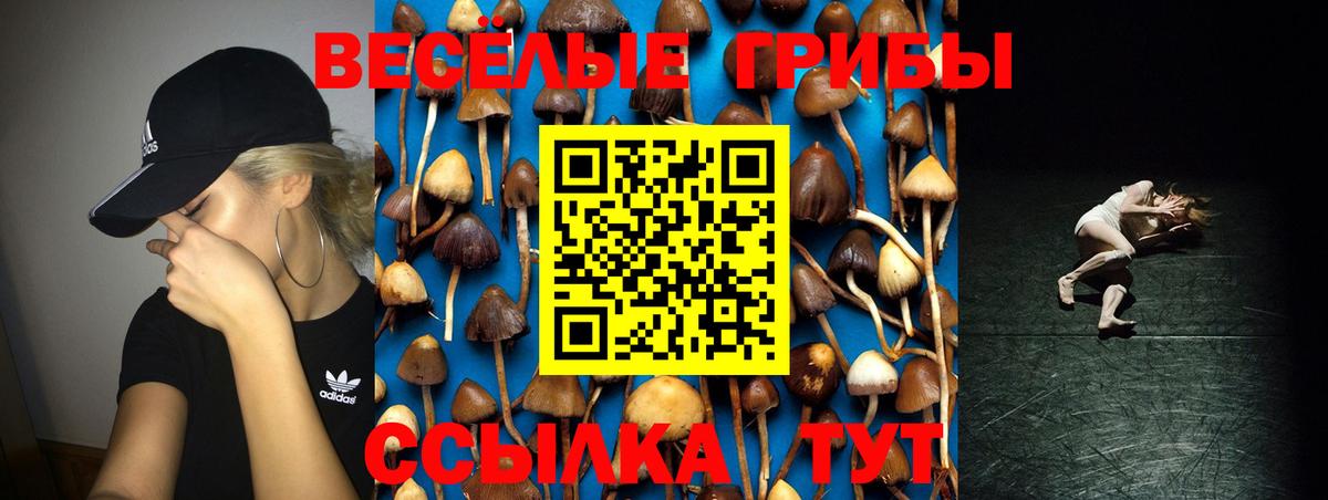 как найти закладки  Галлюциногенные грибы мухоморы  Вход с VPN  Тихвин 